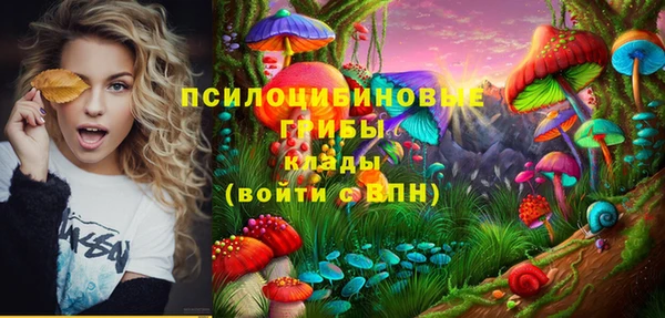 бутират Баксан