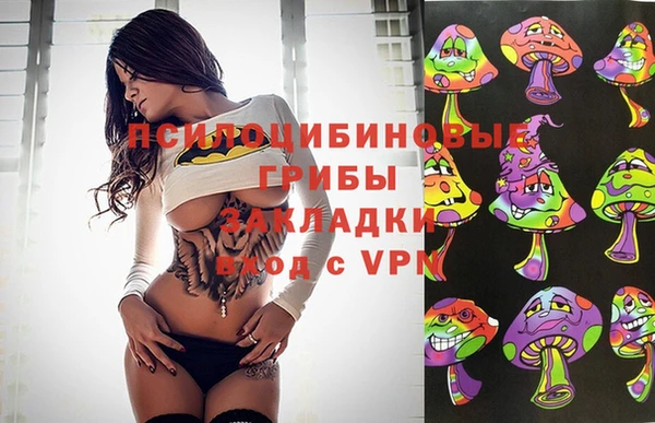 МДПВ Балахна