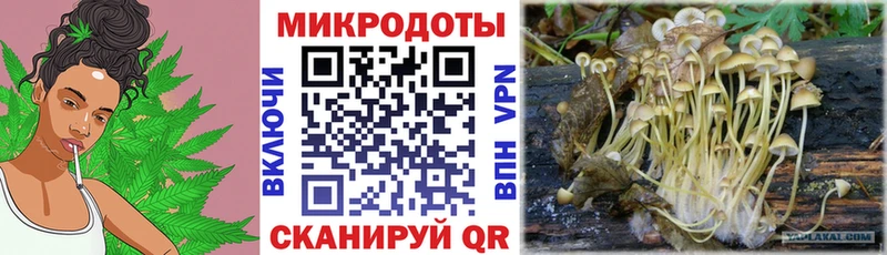 Псилоцибиновые грибы мицелий  закладка  Нижние Серги 